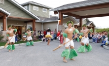 Luau Dancers